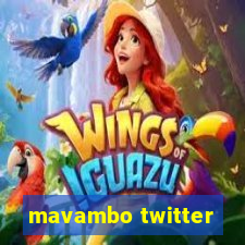 mavambo twitter