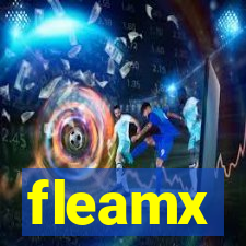 fleamx