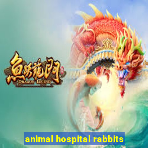 animal hospital rabbits