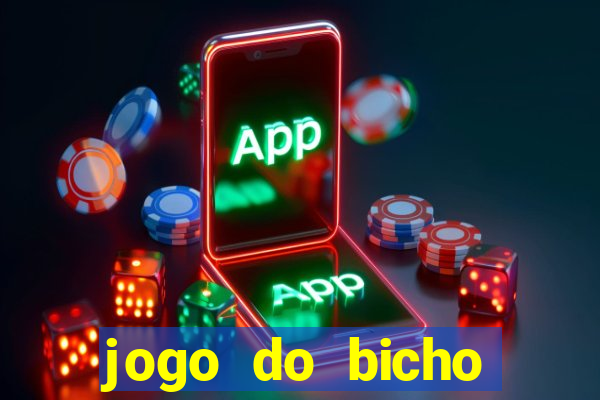 jogo do bicho crash bingo