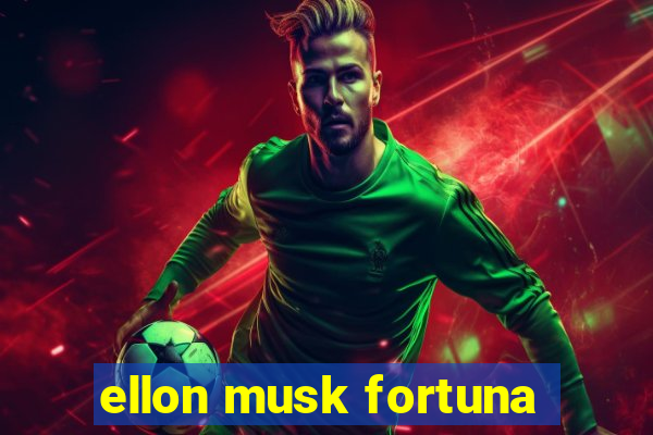 ellon musk fortuna