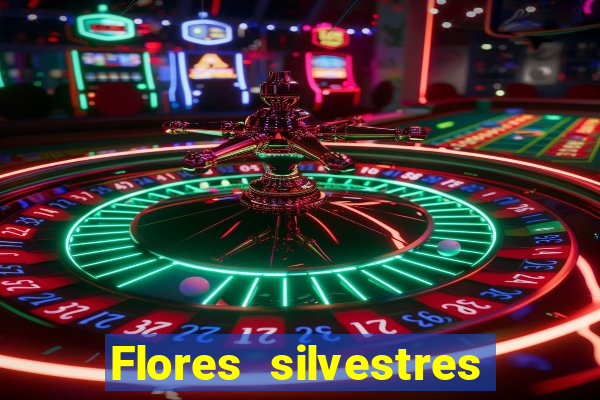 Flores silvestres brasileiras 25