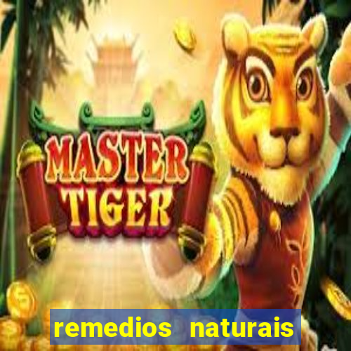 remedios naturais para diabetes