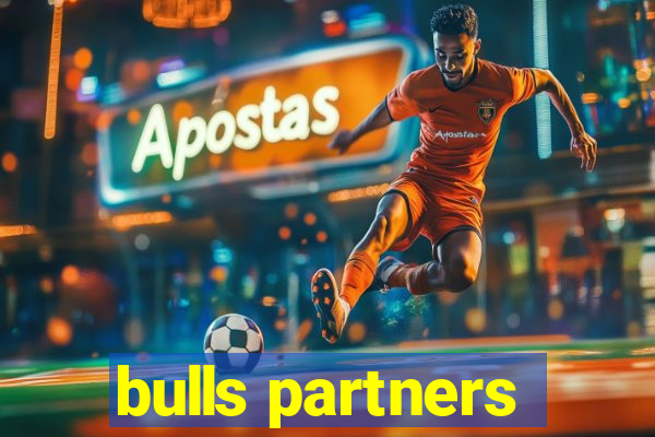 bulls partners