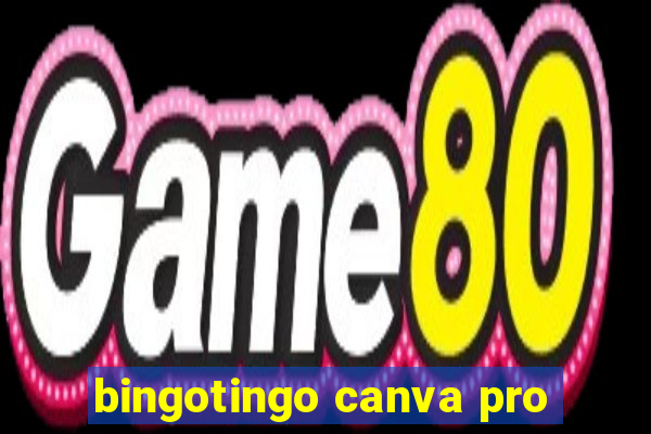 bingotingo canva pro