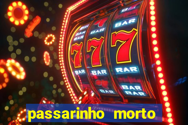 passarinho morto significado espiritual