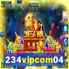 234vipcom04