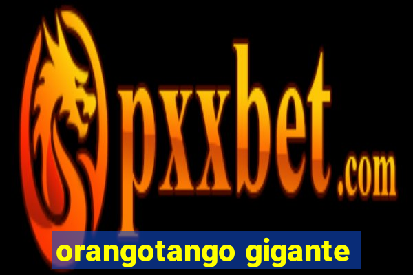 orangotango gigante