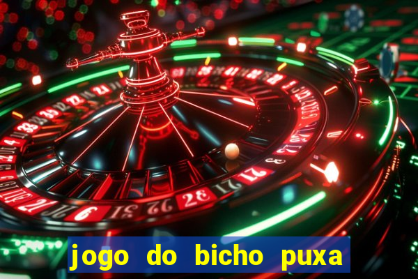 jogo do bicho puxa de dona maria