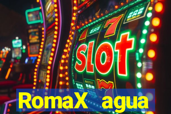 RomaX agua sanitaria fispq agua sanitaria romax