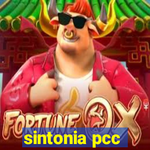 sintonia pcc