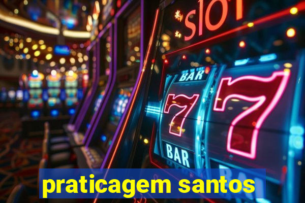 praticagem santos