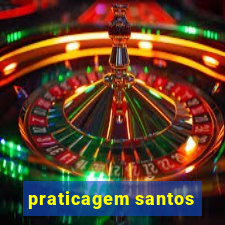 praticagem santos