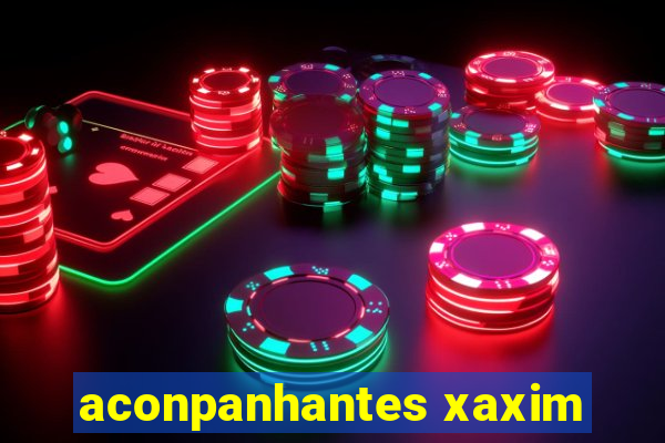 aconpanhantes xaxim