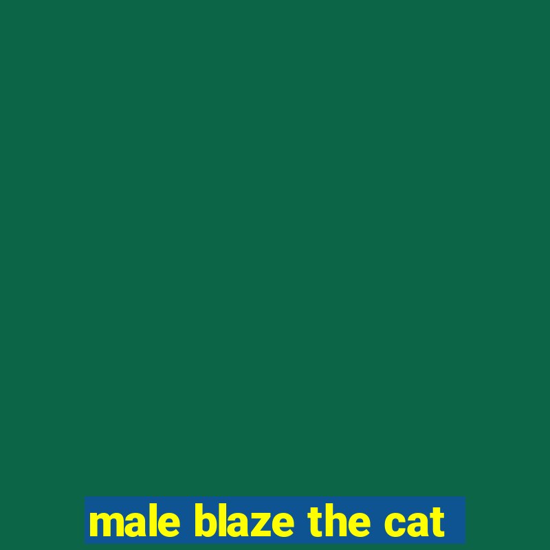 male blaze the cat