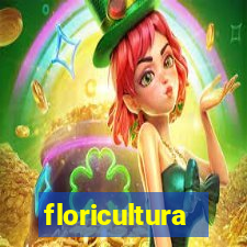 floricultura juazeiro bahia