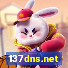 137dns.net