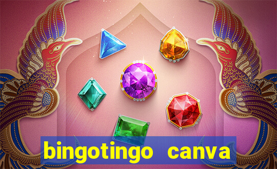 bingotingo canva pro gratis