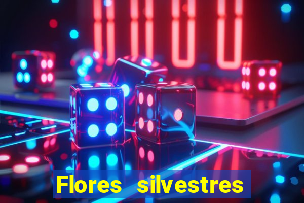 Flores silvestres brasileiras brasileiras flores silvestres nomes e imagens