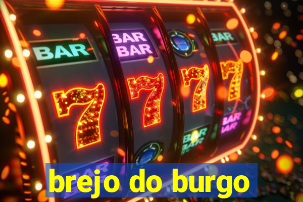 brejo do burgo