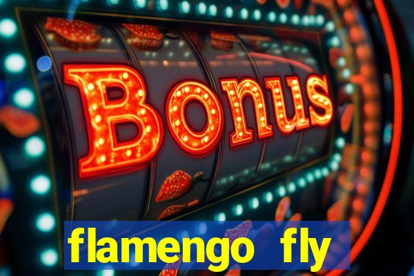 flamengo fly emirates ultimas noticias