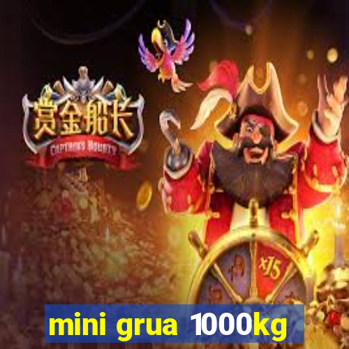 mini grua 1000kg