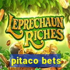 pitaco bets