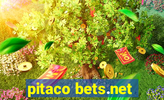 pitaco bets.net