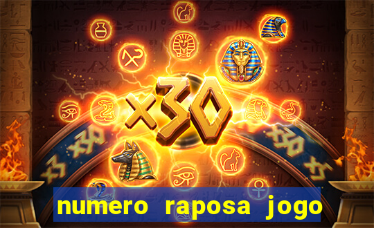 numero raposa jogo do bicho