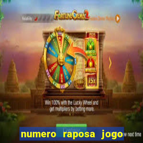 numero raposa jogo do bicho