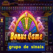 grupo de sinais fortune rabbit