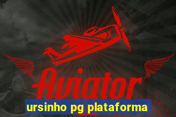 ursinho pg plataforma