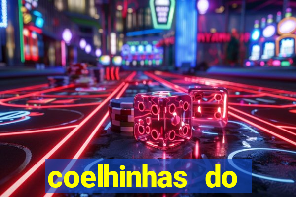 coelhinhas do brasil jp