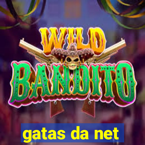 gatas da net