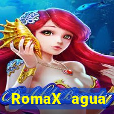 RomaX agua sanitaria fispq agua sanitaria romax