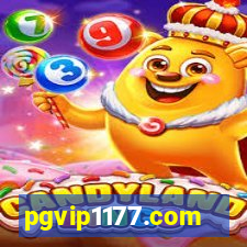 pgvip1177.com