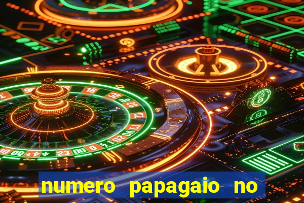 numero papagaio no jogo do bicho