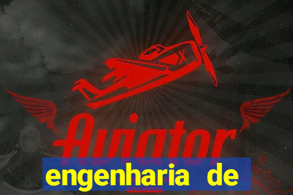 engenharia de software ead vale a pena