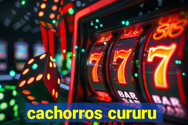 cachorros cururu