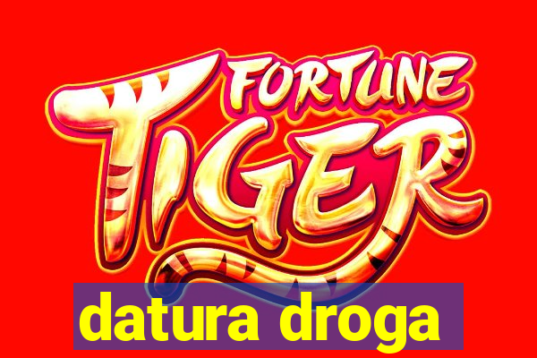datura droga