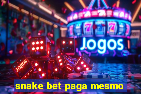 snake bet paga mesmo