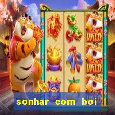 sonhar com boi branco jogo do bicho