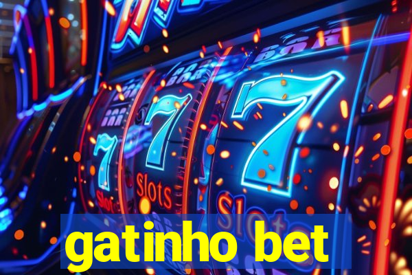 gatinho bet