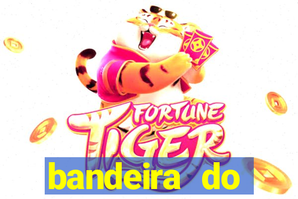 bandeira do flamengo emoji