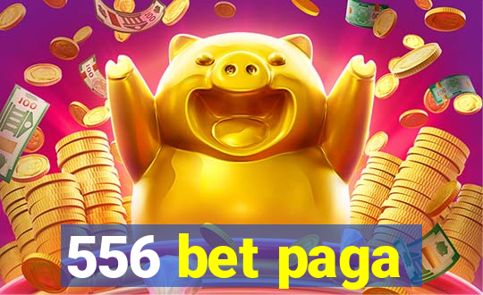 556 bet paga
