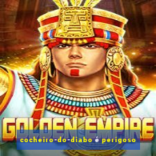 cocheiro-do-diabo é perigoso