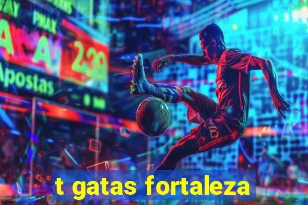 t gatas fortaleza