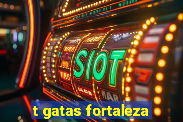 t gatas fortaleza
