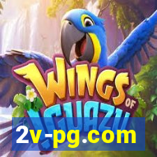 2v-pg.com