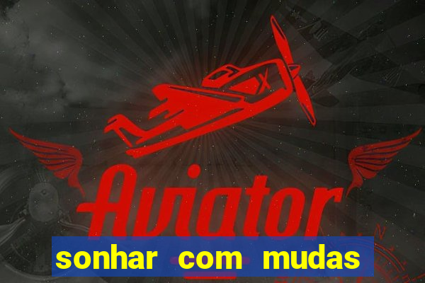 sonhar com mudas de plantas